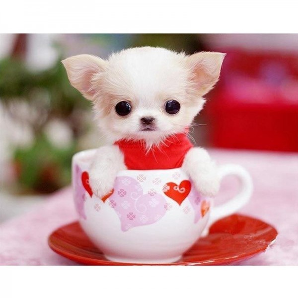 Cute Dog In The Cup Diamond Painting Kit - DIY