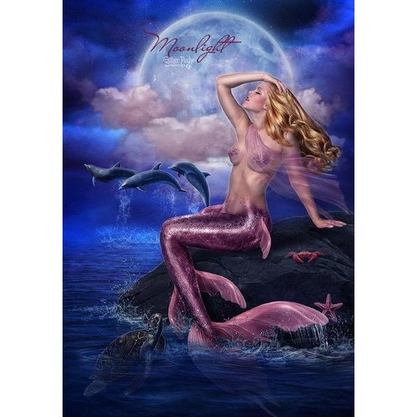 Mermaid Moon Diamond Painting Kit - DIY