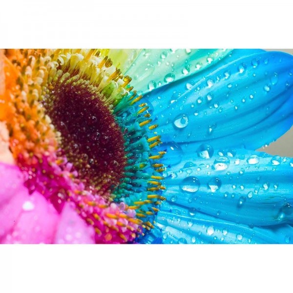Colorful Sunflowers Diamond Painting Kit - DIY