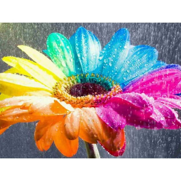 Rainbow Flowers Diamond Painting Kit - DIY Rainbow Flowers-6