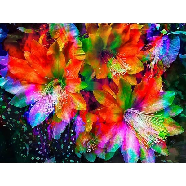 Rainbow Flowers Diamond Painting Kit - DIY Rainbow Flowers-14