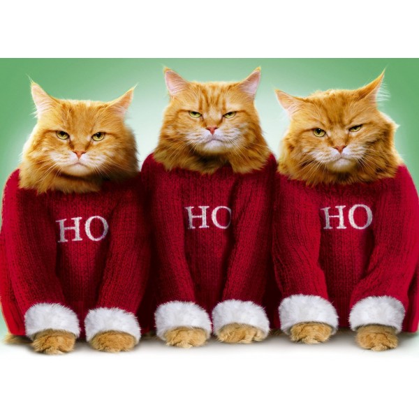 Ho Ho Ho Cat Christmas Diamond Painting Kit - DIY