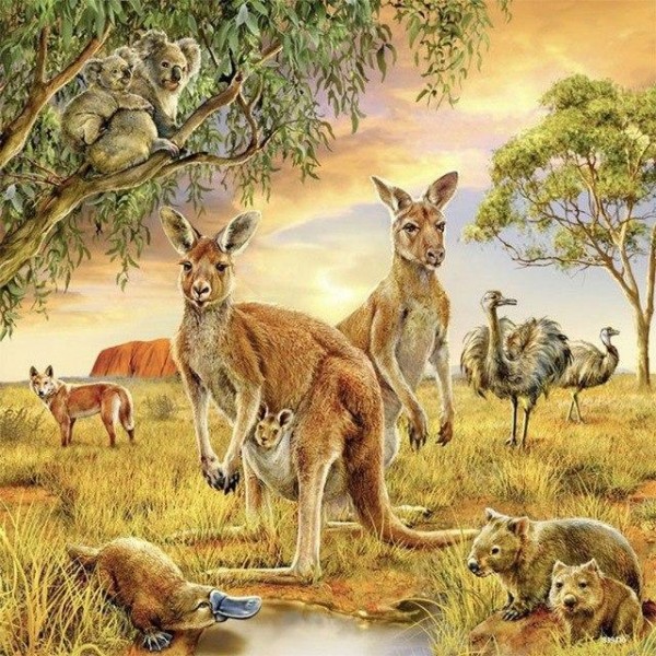 Kangaroo Love Diamond Painting Kit - DIY