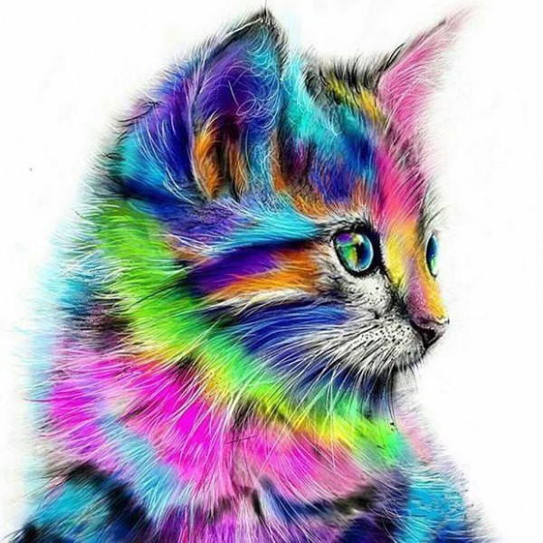 Cat Colors Diamond Painting Kit - DIY